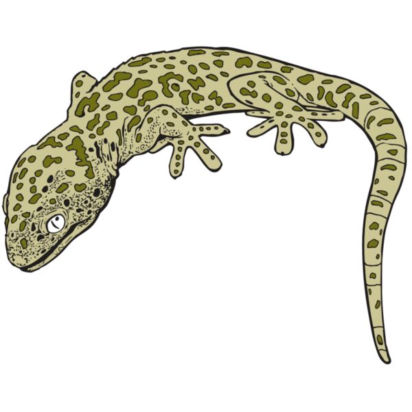 AR GEKO 19 RC Thumbnail