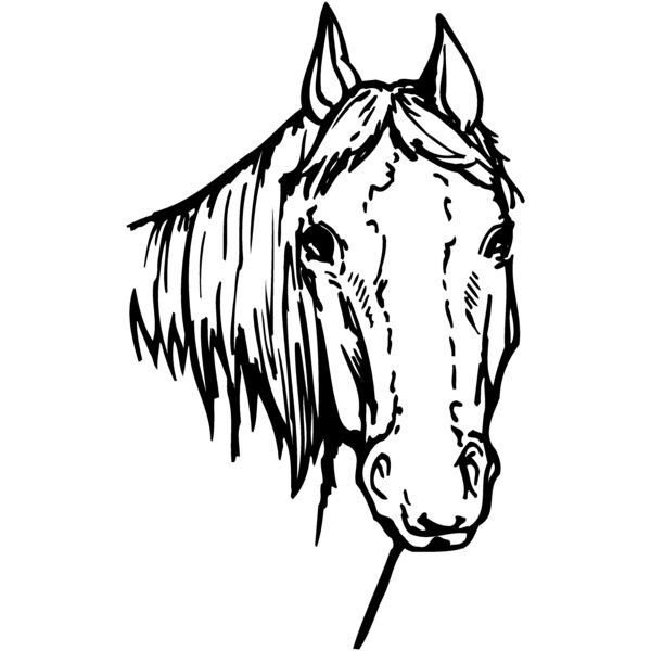 HORSE004 Thumbnail