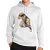 Sport Wick ® Fleece Hooded Pullover Thumbnail